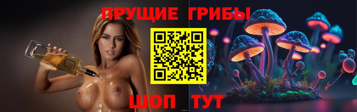 Галлюциногенные грибы Psilocybine cubensis  Вход с VPN  Тимашёвск  Псилоцибиновые грибы Psilocybe 