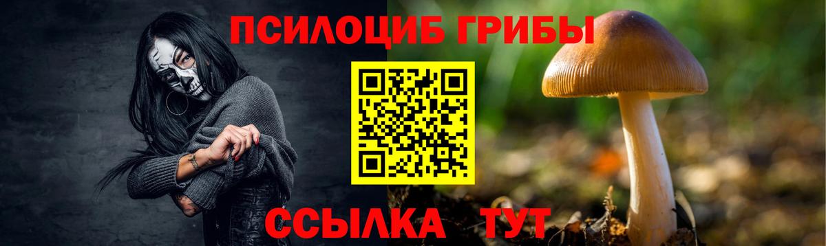 Псилоцибиновые грибы Magic Shrooms Тимашёвск